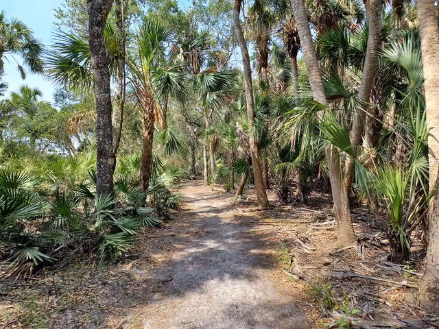 Trail in Myakka River State Park, Florida, United States