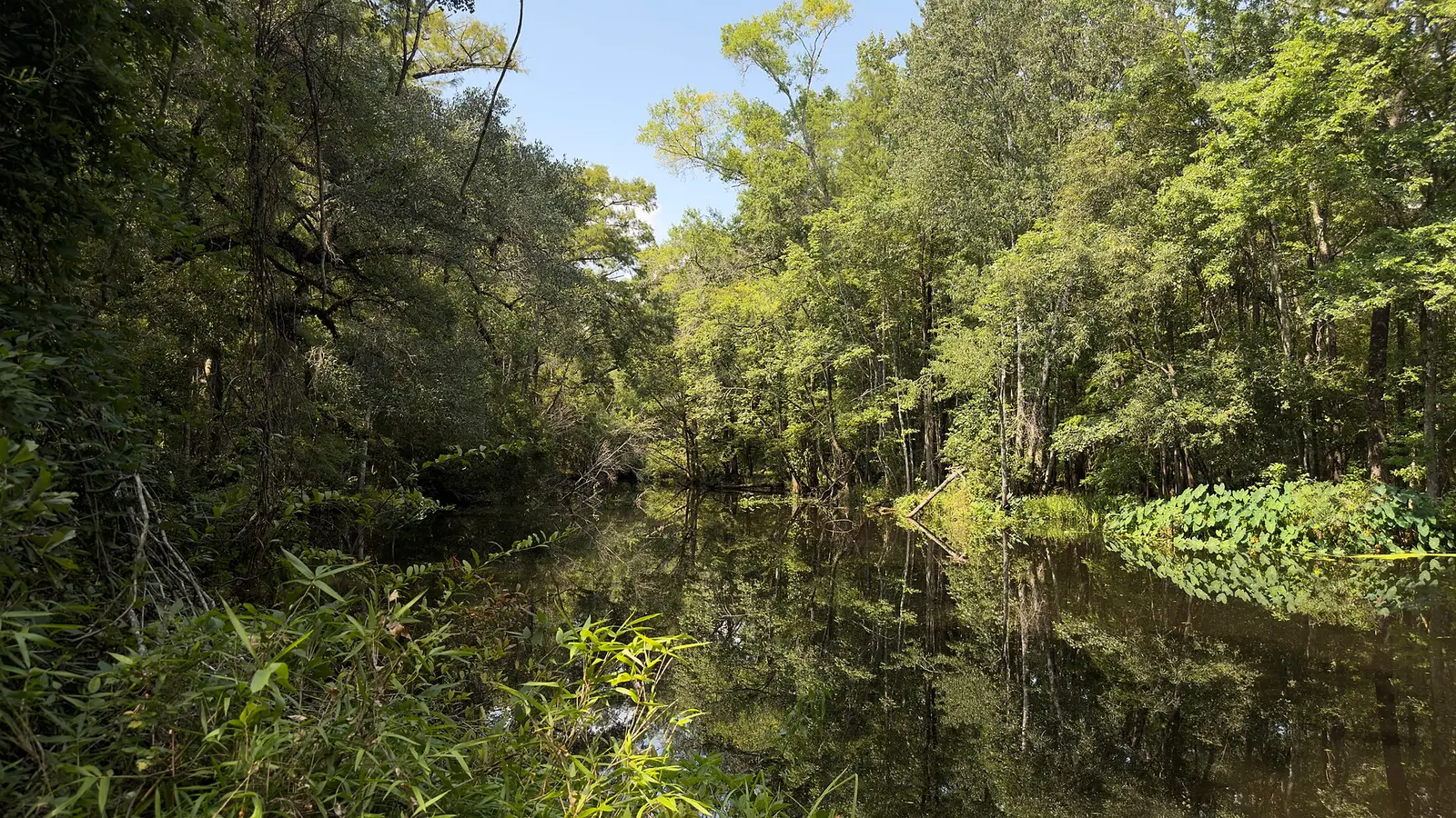 A brigher shot of St — Natural Bridge Battlefield Historic State Park