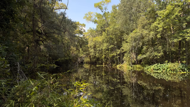 A brigher shot of St — Natural Bridge Battlefield Historic State Park