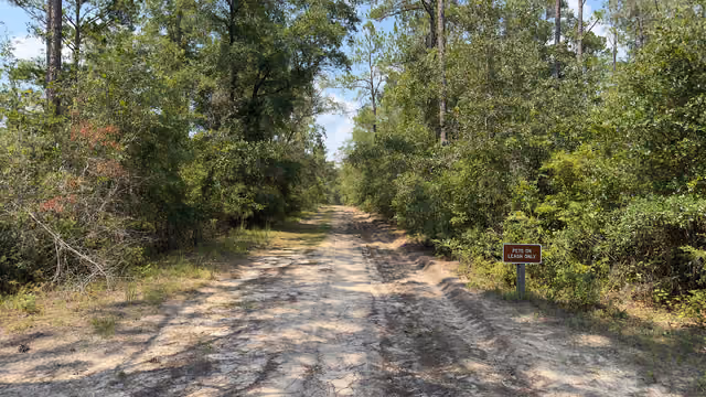 The beginning of the multi-use trail at Ney Landrum State Park