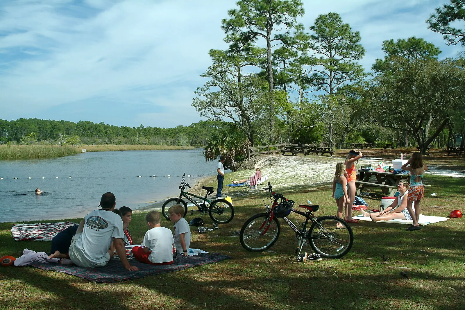 Big Bend Scenic Byway - Ochlockonee River State Park - NARA -