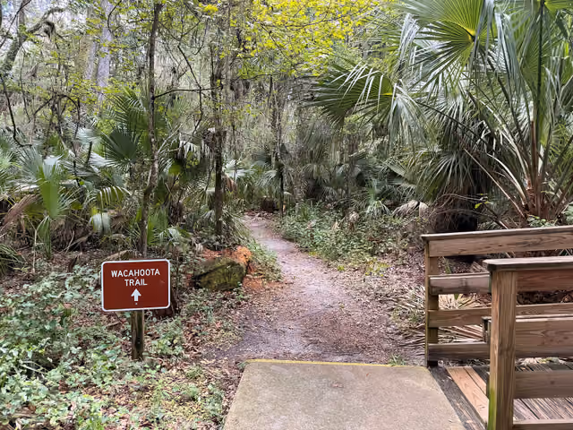 The beginning of Wacahoota Trail — Paynes Prairie Preserve State Park