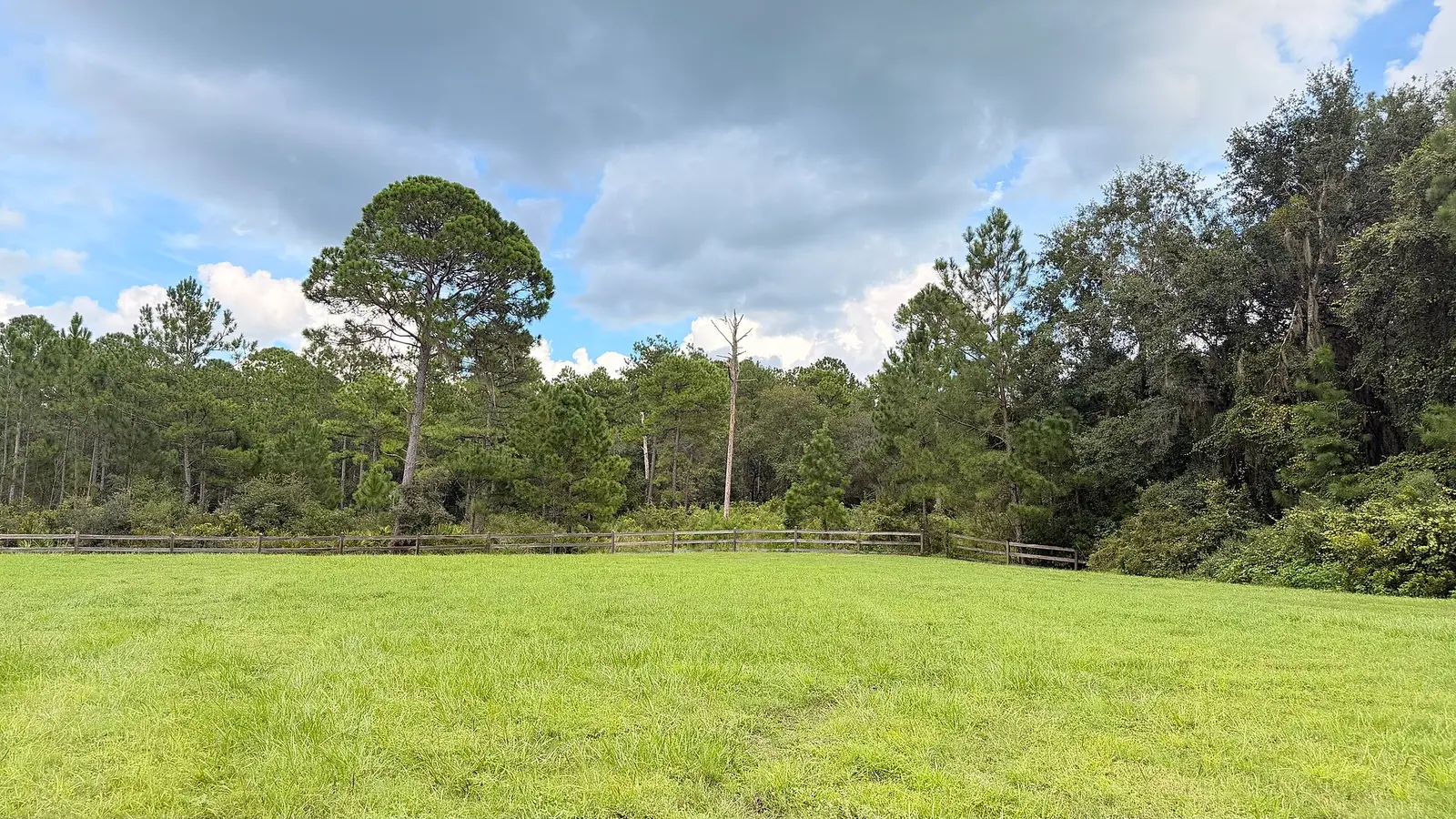 A view from the parking lot — Price's Scrub State Park