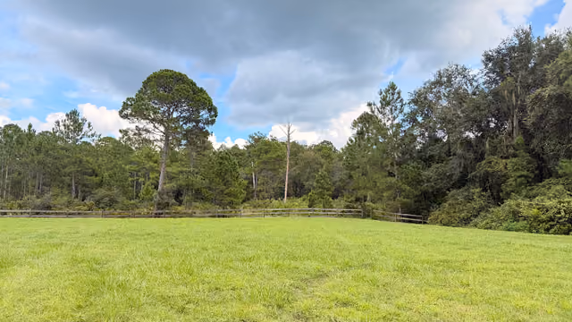 A view from the parking lot — Price's Scrub State Park