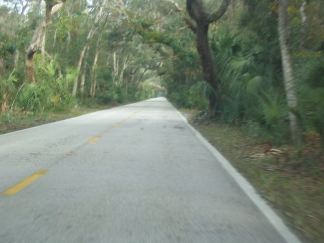 Beach Street north in Tomoka State Park