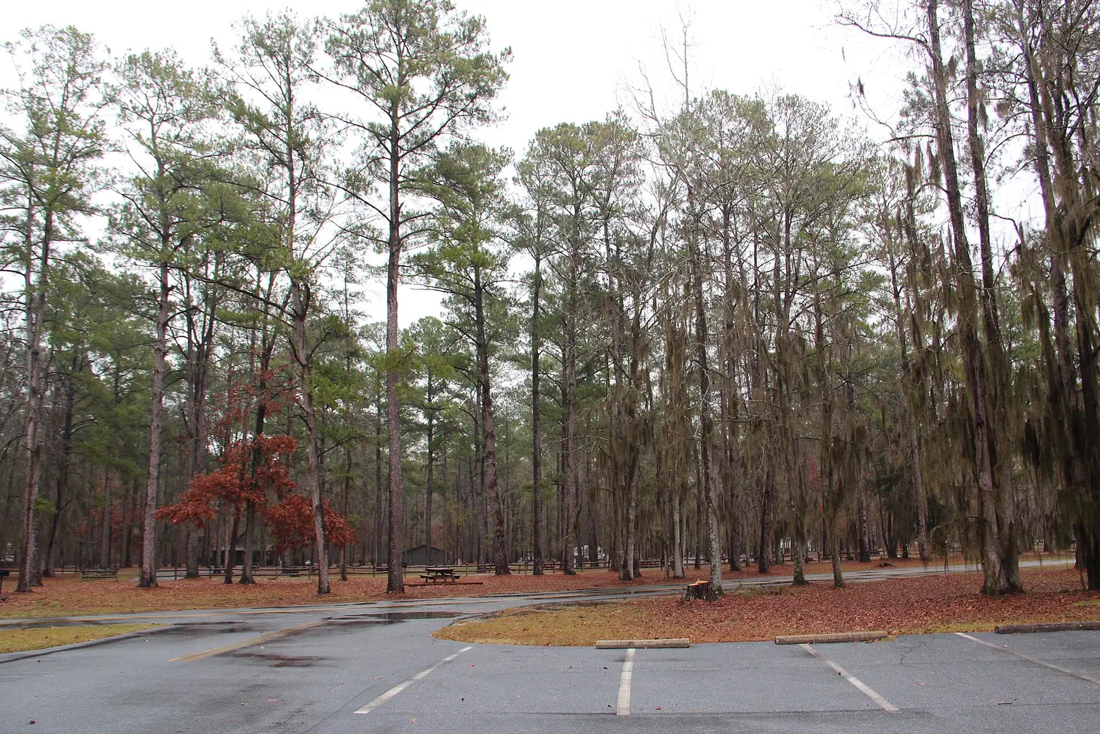 Florence Marina State Park Camping Area