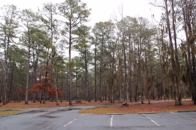 Florence Marina State Park Camping Area