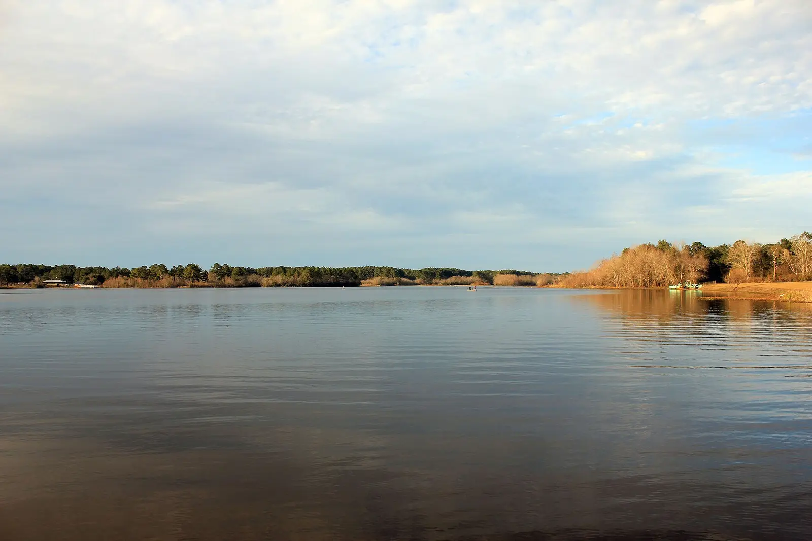 Main lake of Reed-Bingham State Park