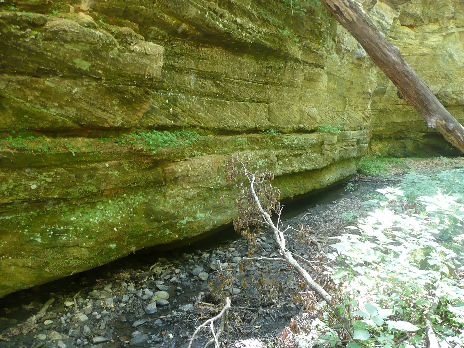 Boneyard Hollow is a small canyon in Dolliver Memorial State Park , just south of Fort Dodge, Iowa