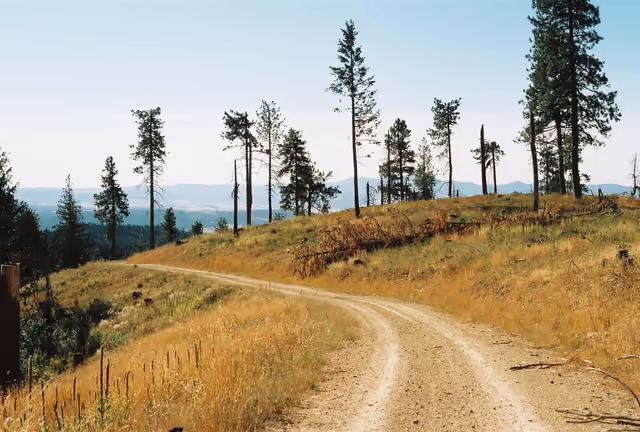 Looking to west on Skyline Drive path in McCroskey State Park