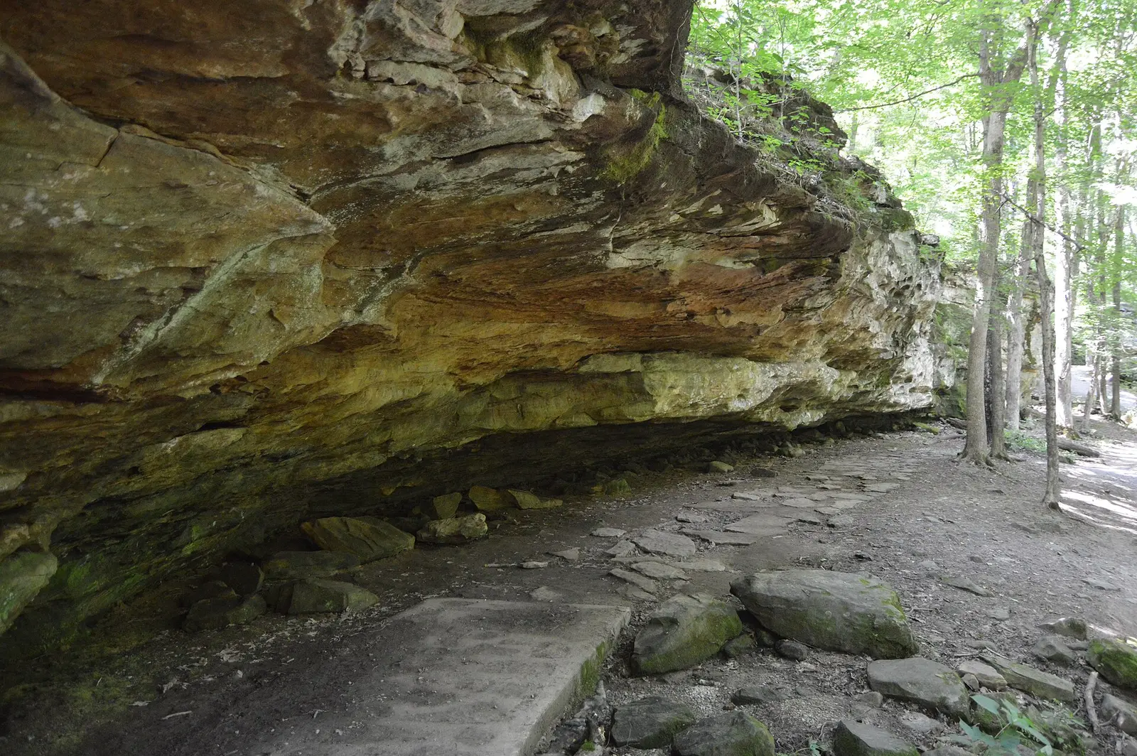 Overview from the south of a rockshelter on the nature trail at Giant City State Park , located on the northern edge of Union County ,…