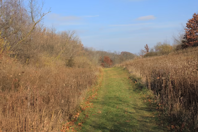 Hiking trail at Rock Cut State Park, Illinois, USA