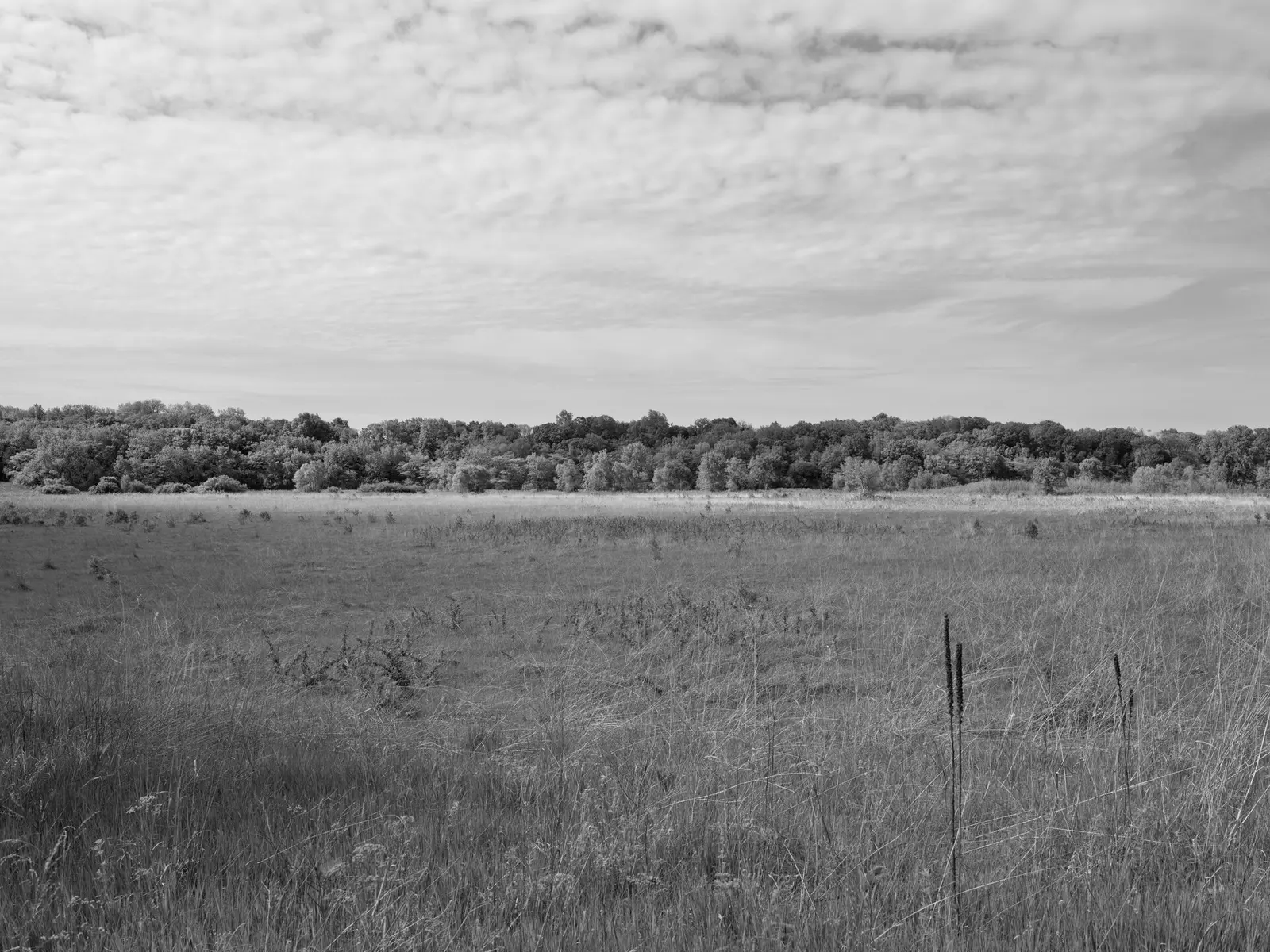 Photograph by the Public Lands Institute — Prophetstown State Park