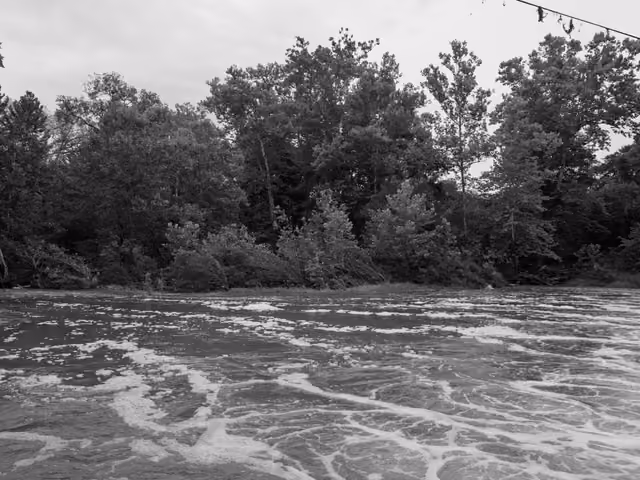 Photograph by the Public Lands Institute — Versailles State Park