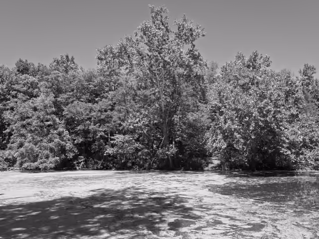 Photograph by the Public Lands Institute — General Butler State Resort Park