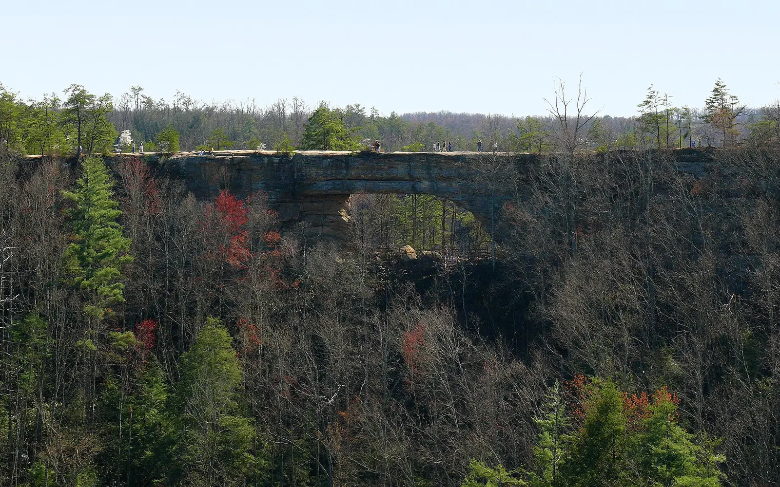 The natural bridge at Natural Bridge State Park , as seen from just over 1000 feet away on Overlook Point