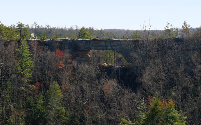 The natural bridge at Natural Bridge State Park , as seen from just over 1000 feet away on Overlook Point