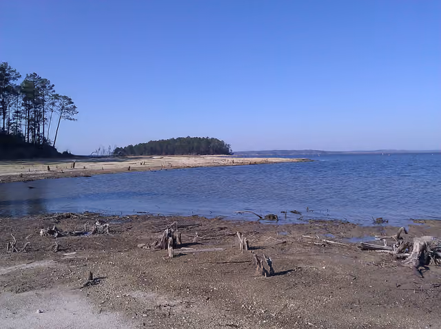 View of the Toledo Bend Reservoir from South Toledo Bend State Park near Anacoco, Louisiana