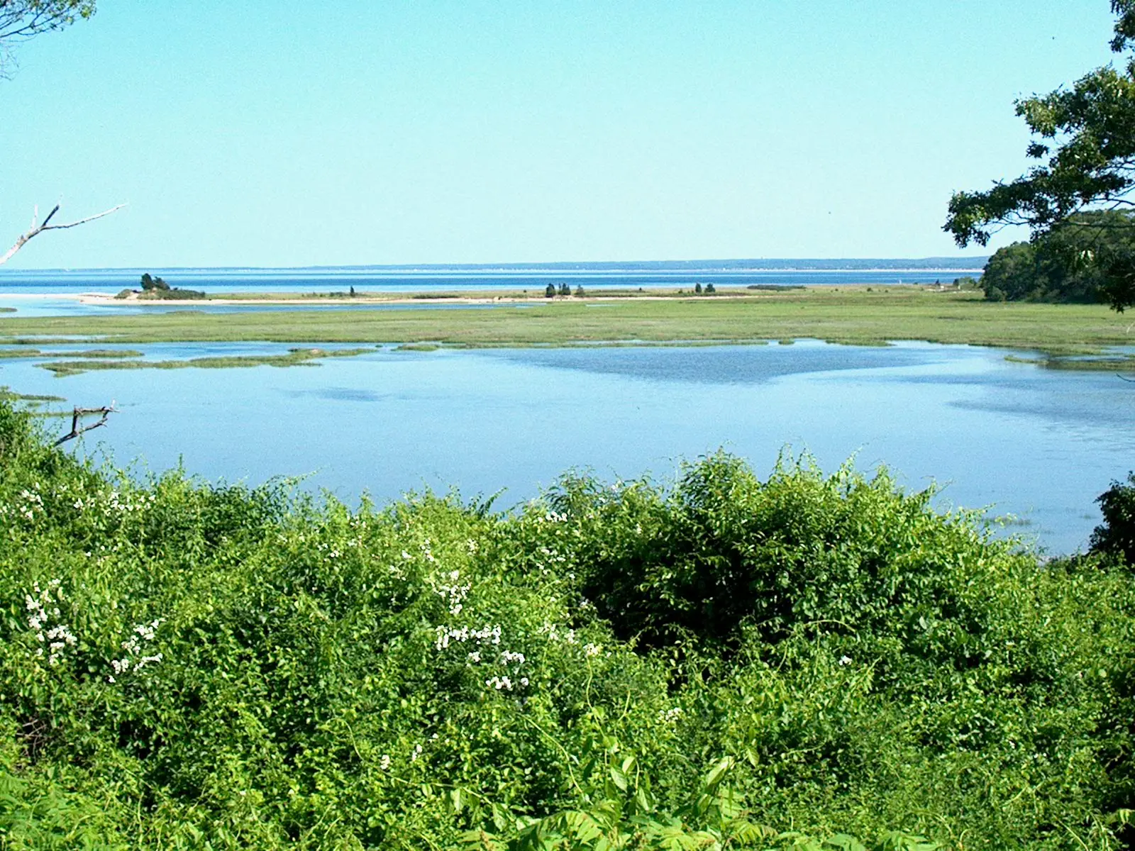 View from Ellisville Harbor State Park showing portion of harbor and barrier beach, Plymouth, MA, June 2006