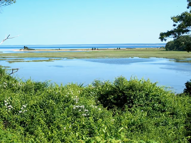 View from Ellisville Harbor State Park showing portion of harbor and barrier beach, Plymouth, MA, June 2006
