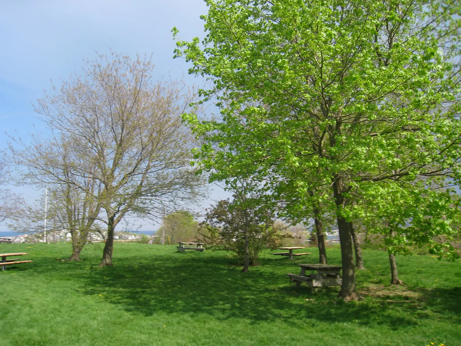 Picnic tables, Fort Revere Park, Hull, Massachusetts, USA
