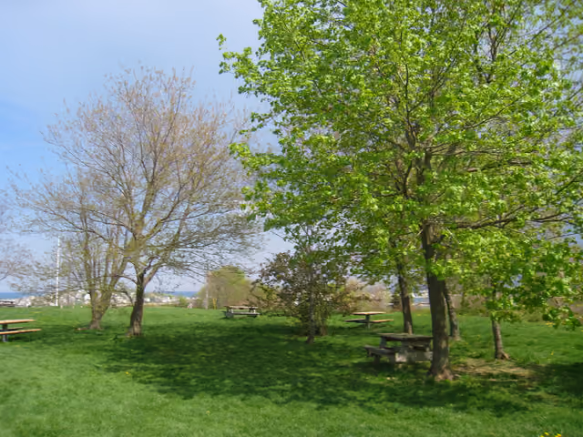 Picnic tables, Fort Revere Park, Hull, Massachusetts, USA