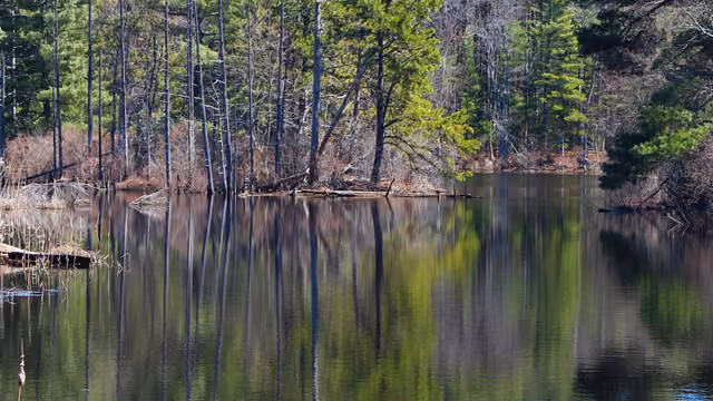 500px provided description: Hiking trail at Great Brook Farm State Park
