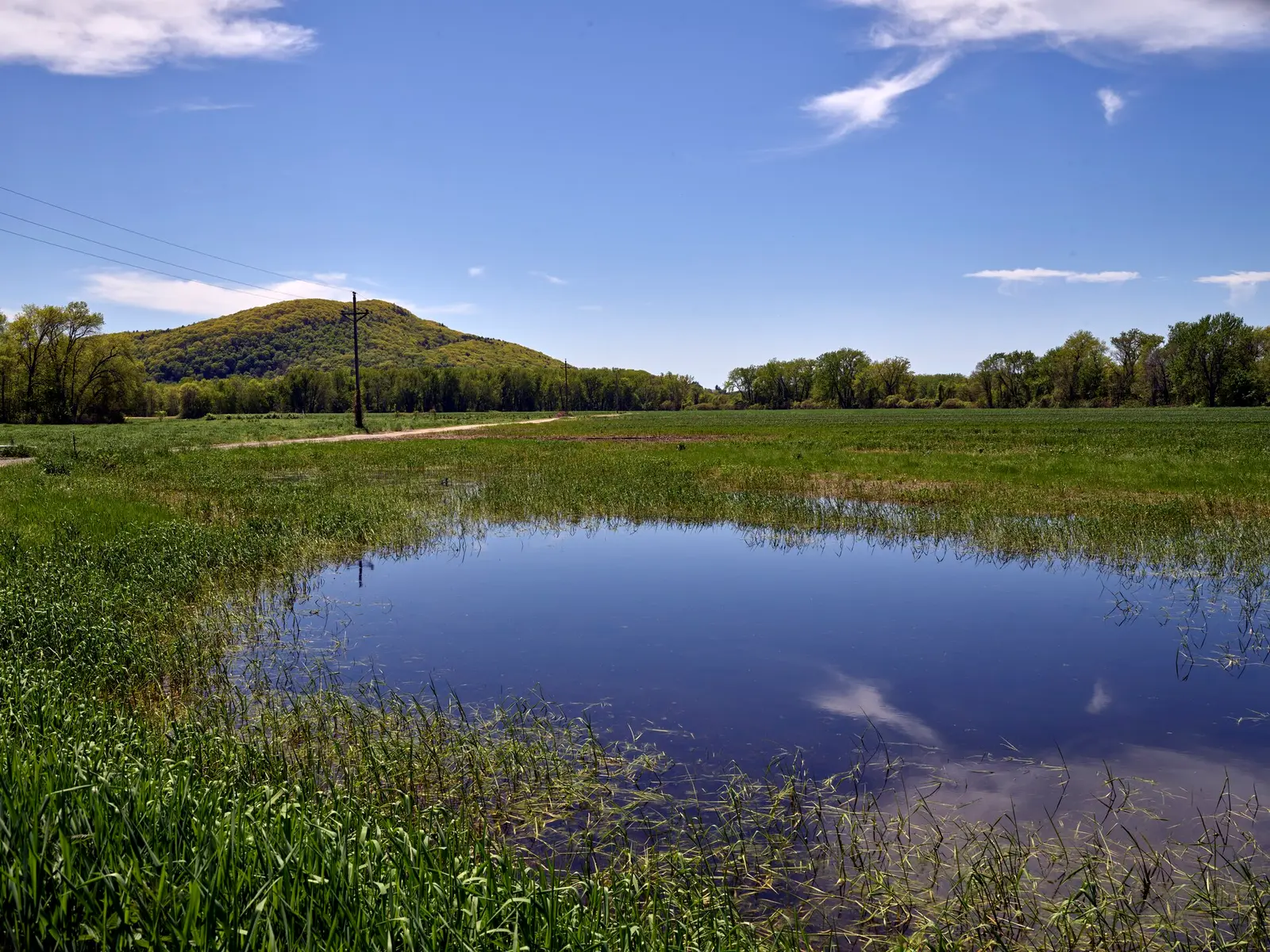 Pond in Skinner State Park, a preserve of low mountain trails and meadows, near South Hadley, in the shadow of Mount Holyoke, by Carol M…