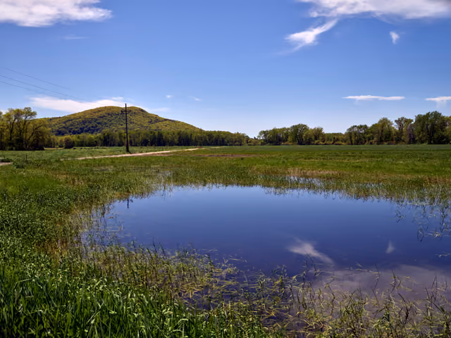 Pond in Skinner State Park, a preserve of low mountain trails and meadows, near South Hadley, in the shadow of Mount Holyoke, by Carol M…