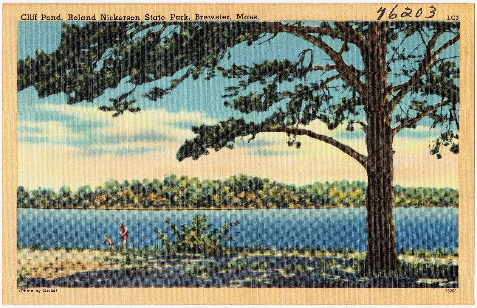 Cliff Pond, Roland Nickerson State Park, Brewster, Mass