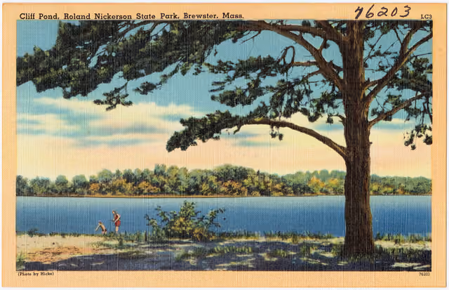 Cliff Pond, Roland Nickerson State Park, Brewster, Mass