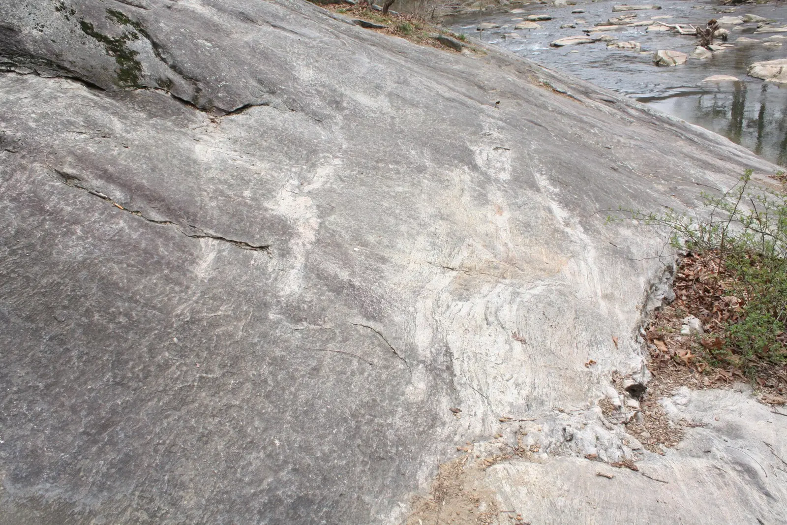 Large outcrop of Precambrian Baltimore Gneiss along the Patapsco River, McKeldin Area of Patapsco Valley State Park, Carroll County,…