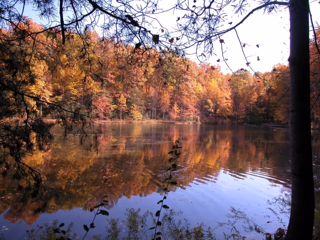 Fall colors reflecting in Clopper Lake — Seneca Creek State Park