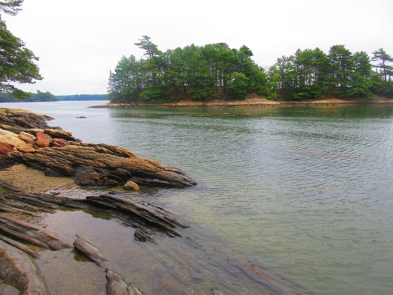 Wolfe's Neck Woods State Park 21