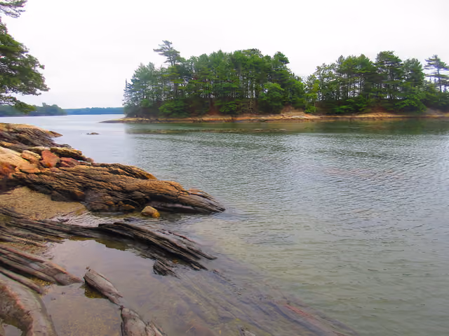 Wolfe's Neck Woods State Park 21