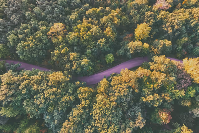 Purple road (Unsplash) — Seven Lakes State Park