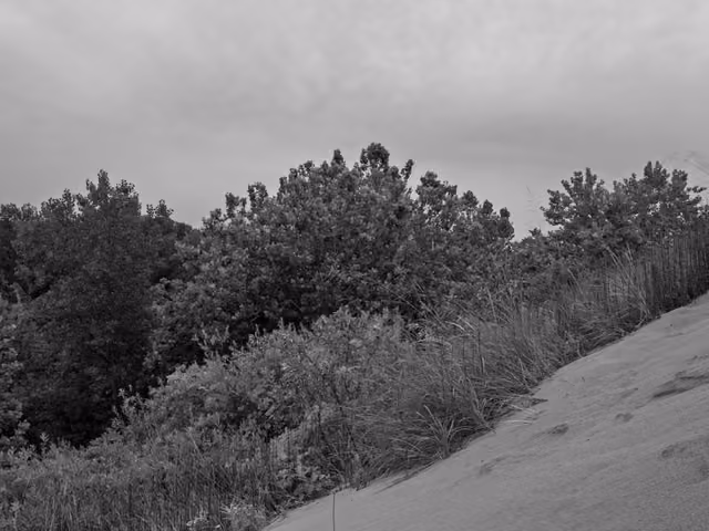 Public Lands Institute - Warren Dunes State Park -