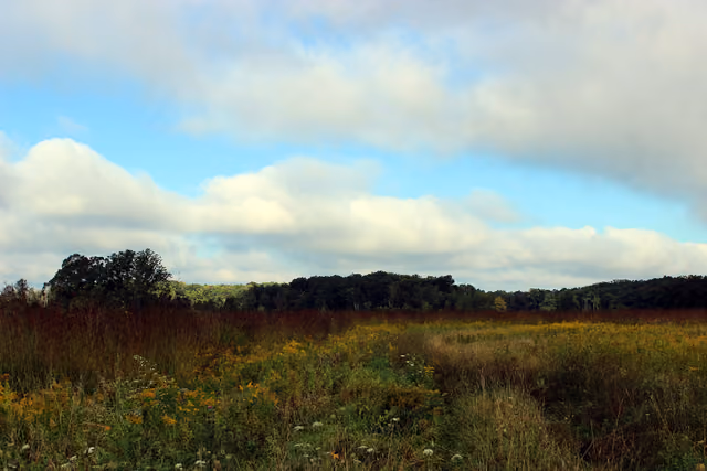 Waterloo State Recreation Area