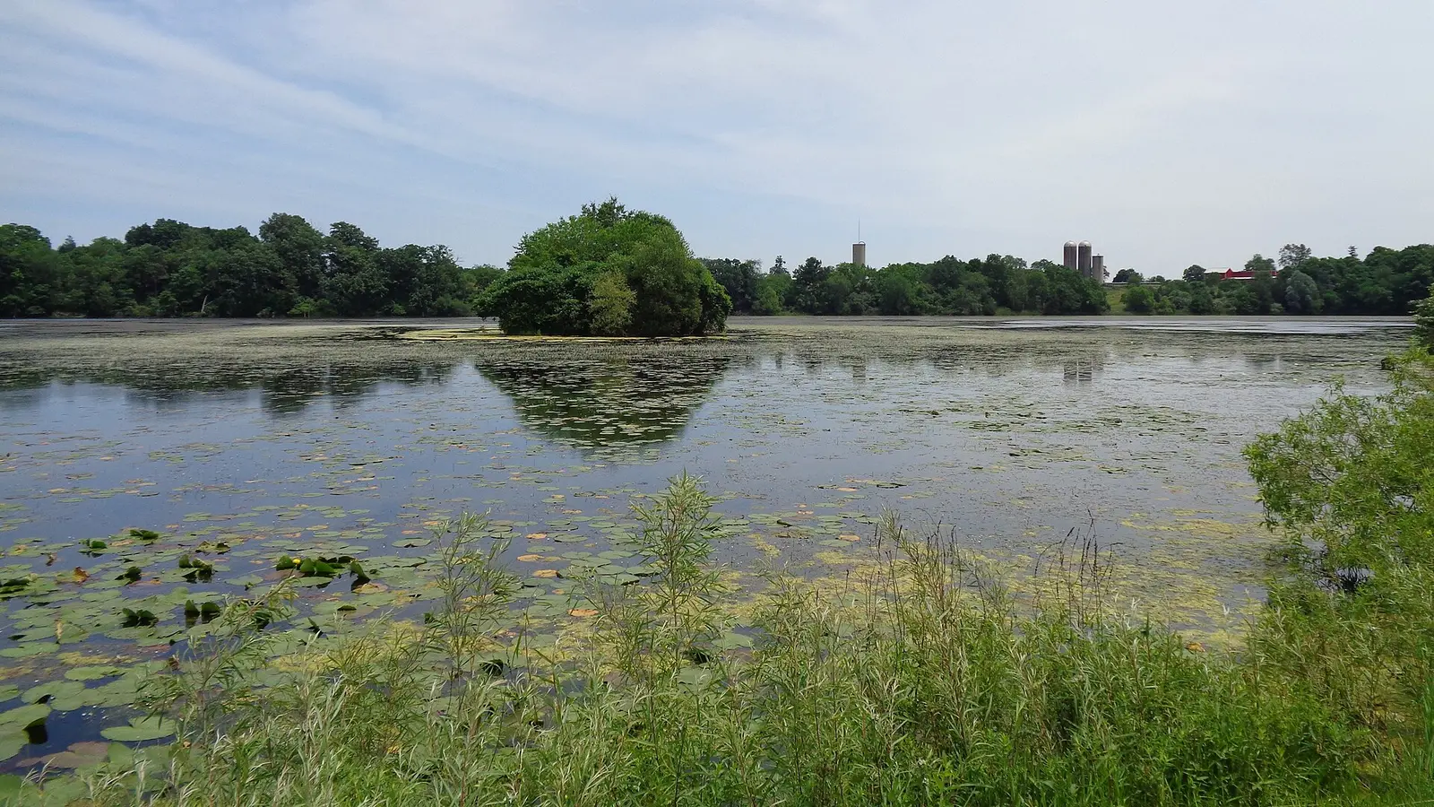 Watkins Lake State Park and County Preserve