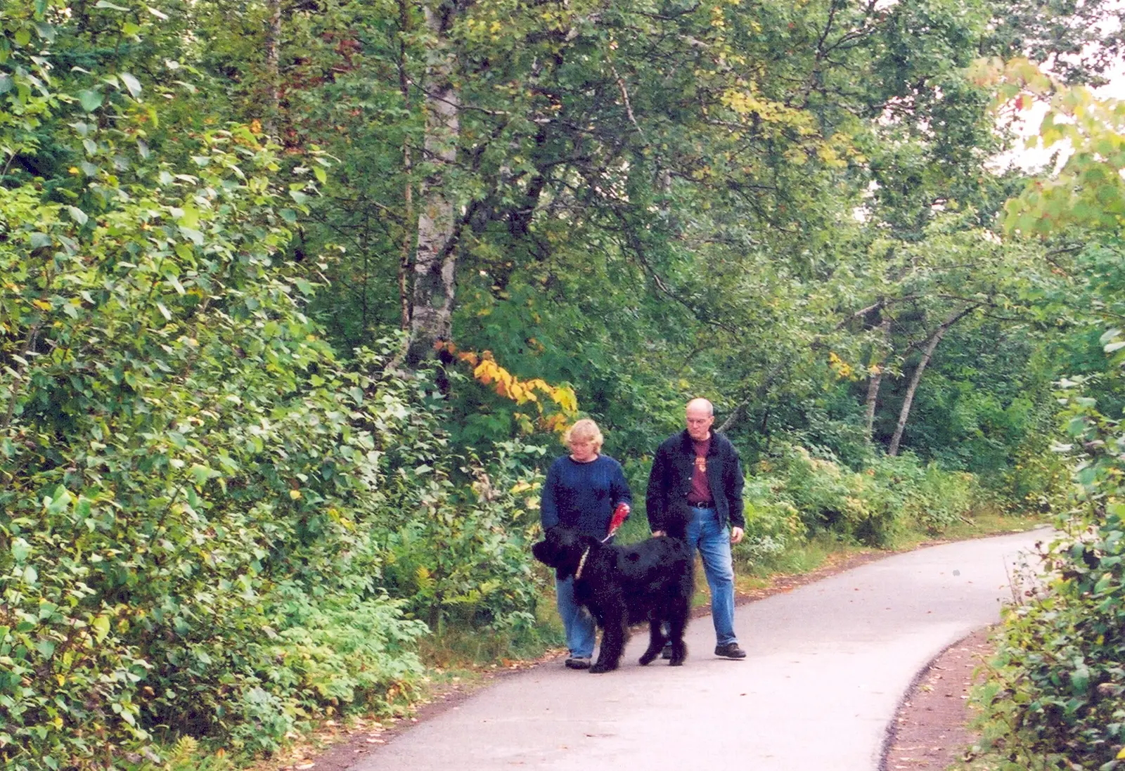 North Shore Scenic Drive - Walking a Dog on the North Shore - NARA - — Gooseberry Falls State Park