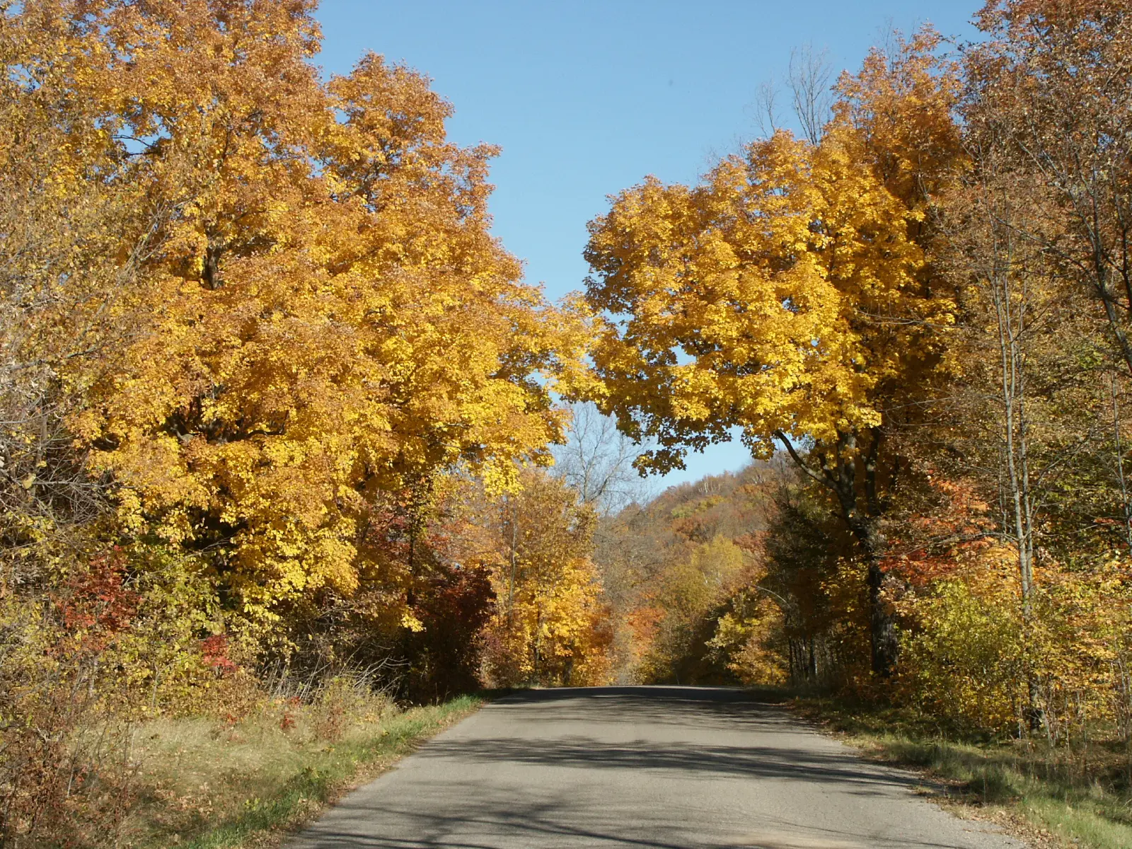 Maplewood State Park, Minnesota