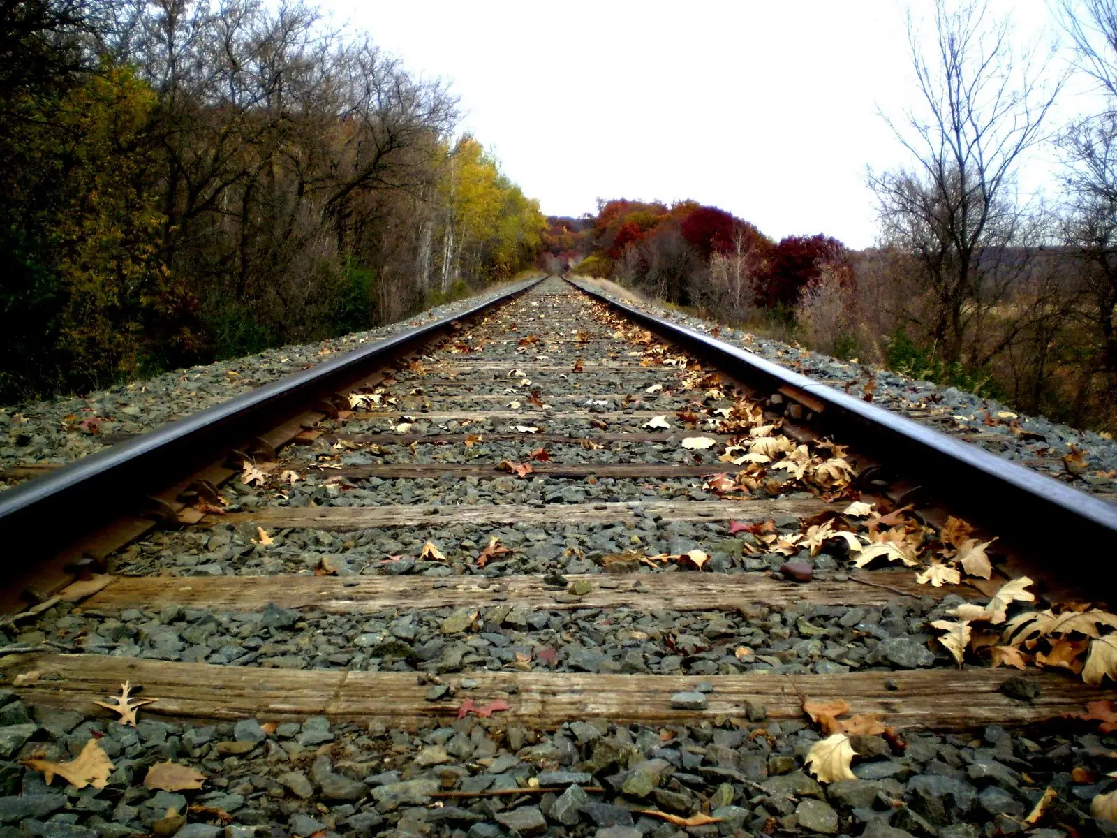 William O'Brien State Park in the fall