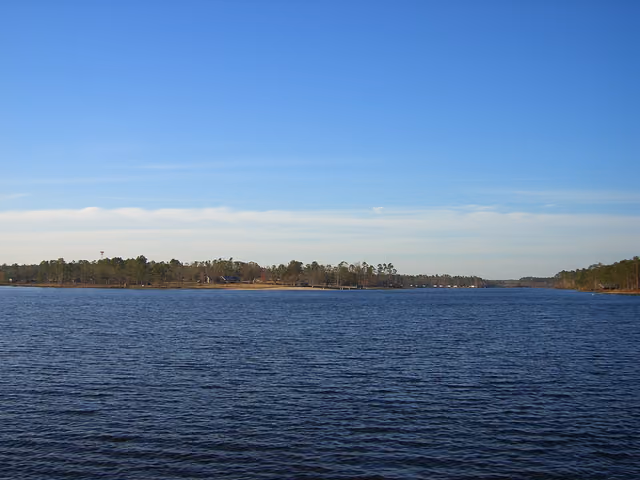 A view of Paul B