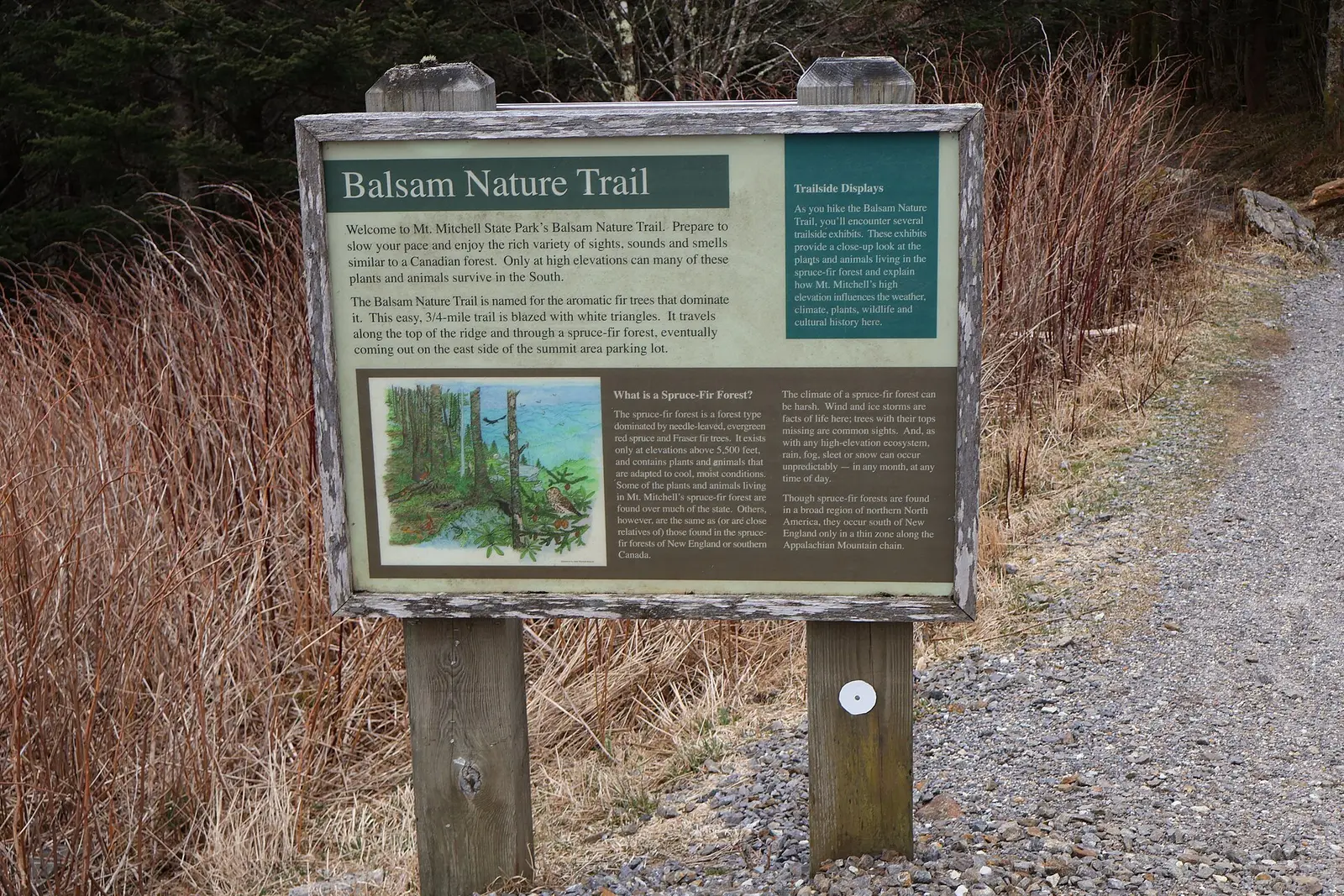 Balsam Nature Trail in Mount Mitchell State Park in Yancey County, North Carolina