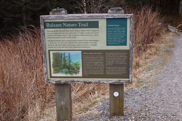 Balsam Nature Trail in Mount Mitchell State Park in Yancey County, North Carolina