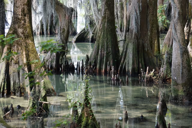 Pettigrew State Park