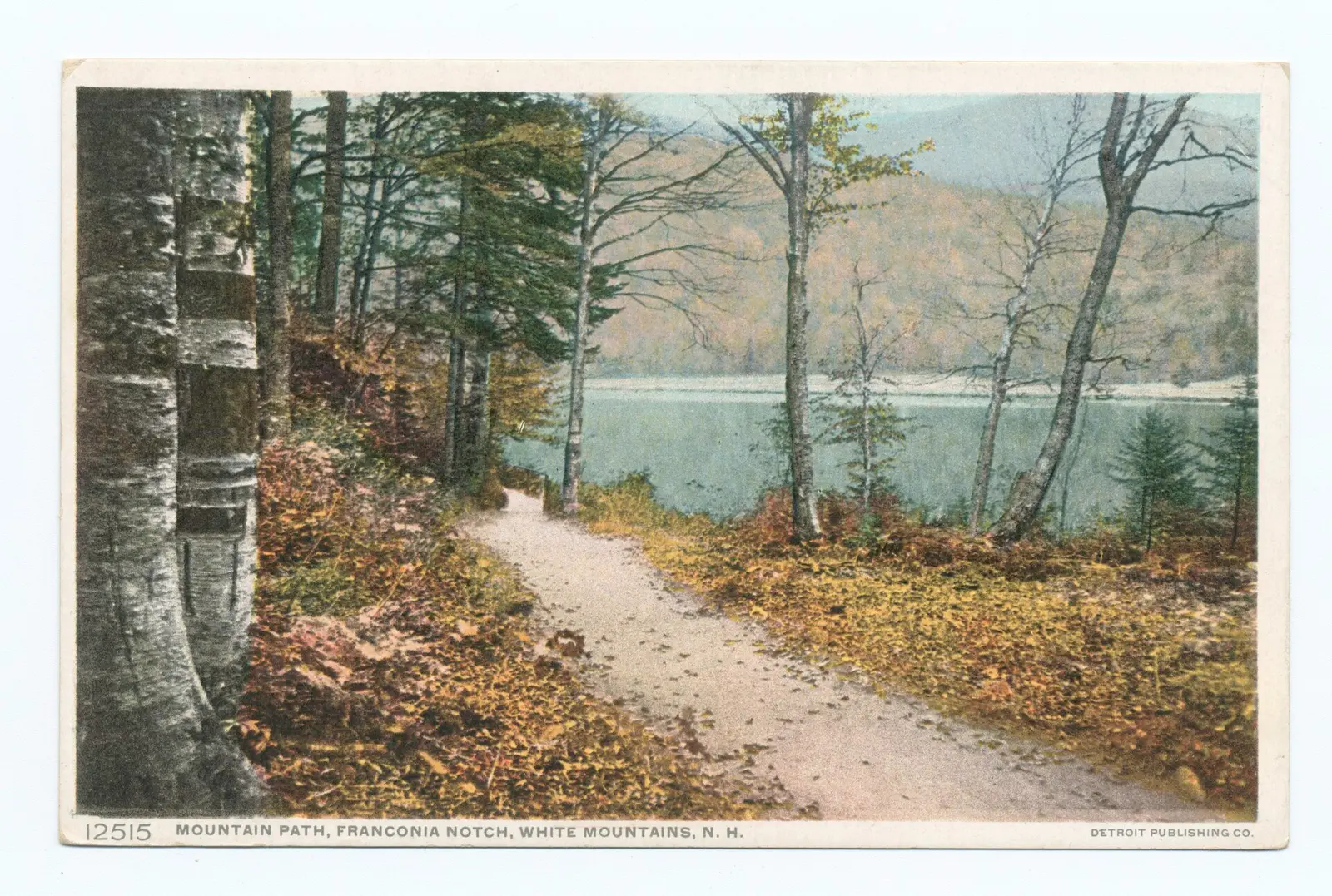 Mountain Path, Franconia Notch, N. H (NYPL b12647398-)