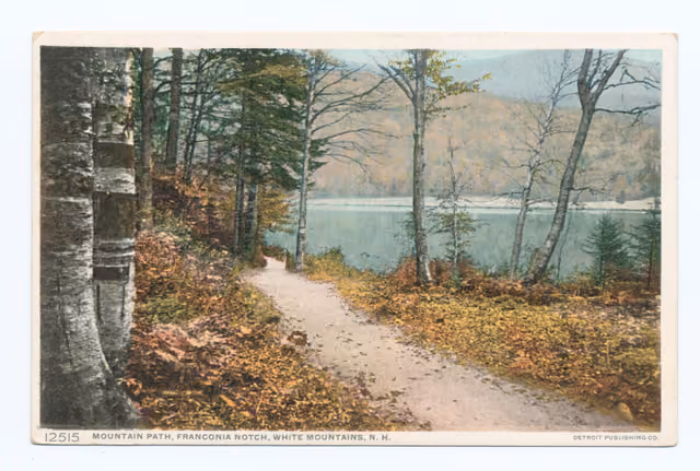 Mountain Path, Franconia Notch, N. H (NYPL b12647398-)
