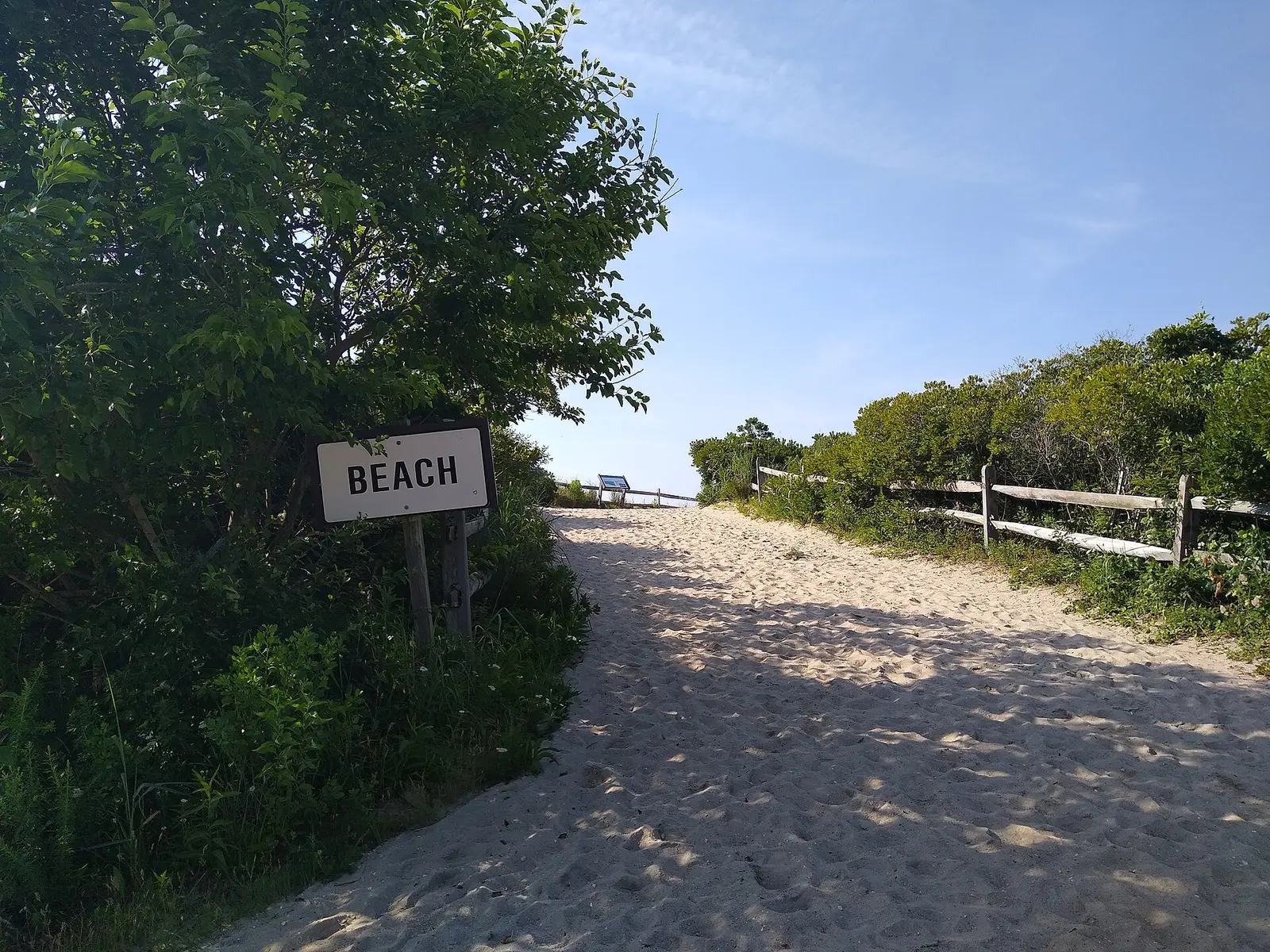 Beach, Cape May Point State Park