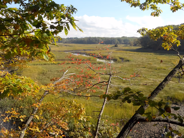 Cheesequake Marsh from Cheesequake State Park